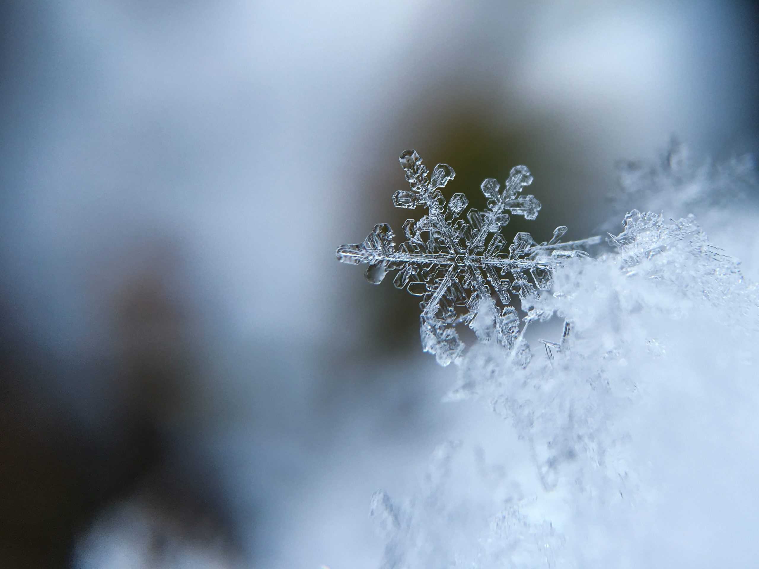 Pakkaspäivä on erinomainen siivouspäivä, sillä kylmillä keleillä voit esimerkiksi raikastaa kodin tekstiilit ulkona tai siirtää ruoat ulos pakastimen ja jääkaapin sulatuksen ja siivouksen ajaksi.